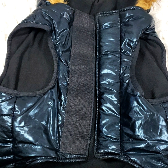 Frisco Glossy Black Insulated Dog Puffer Coat - Picture 7 of 9